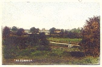 The Common