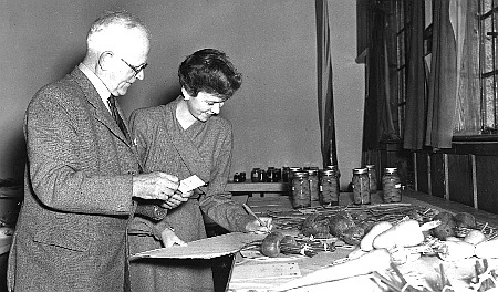 Bill judging vegetables at one of the shows