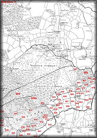 Henley Park & Cobbett Hill  Map 11