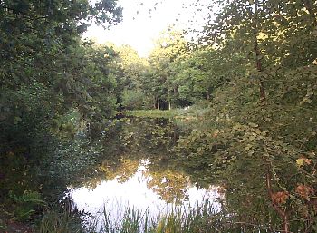 Normandy Pond