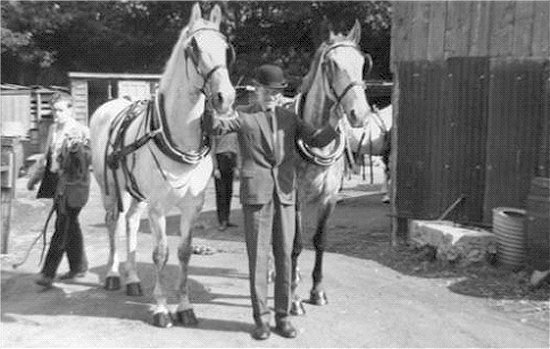 The horses at Sandpit Farm stables in 1962.