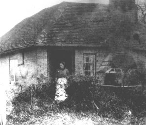 The Wren's Nest c.1910