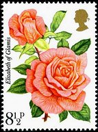 Postage Stamp - (Return to Post Office)