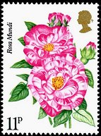 Postage Stamp - (Return to Post Office)