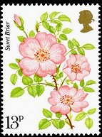 Postage Stamp - (Return to Post Office)