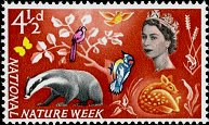 Postage Stamp - (Return to Post Office)