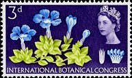 Postage Stamp - (Return to Post Office)