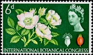 Postage Stamp - (Return to Post Office) Postage Stamp - (Return to Post Office)