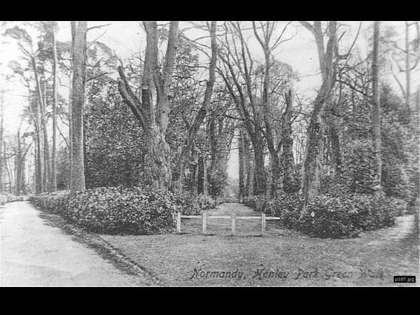 Click to see Next Slide