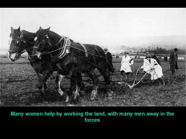 Click to see Next Slide